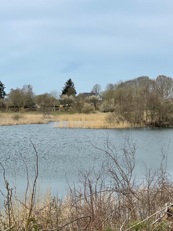 Feriehus I Skon Natur Stenstrup Екстер'єр фото