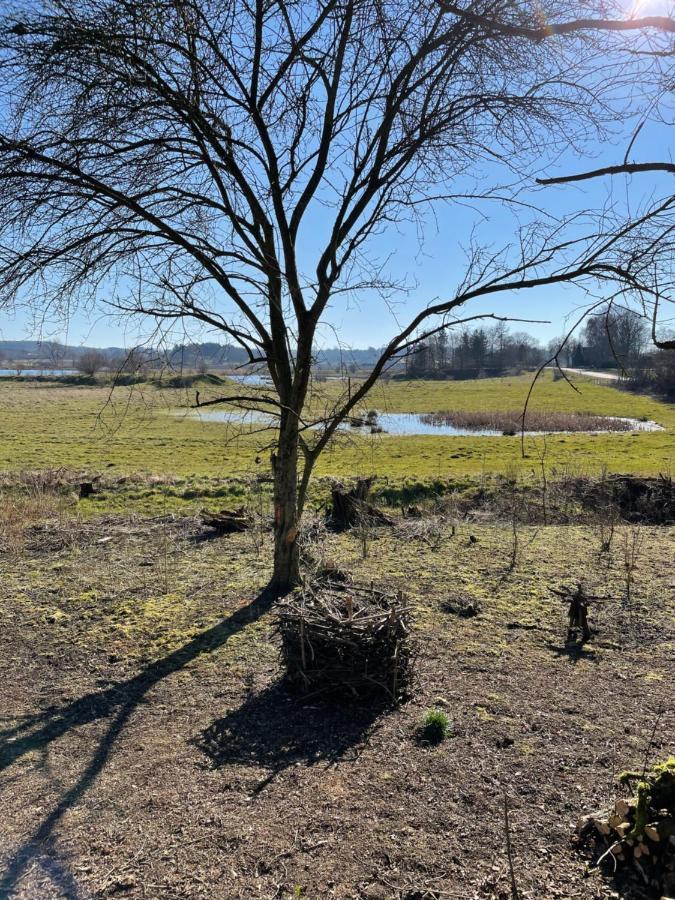 Feriehus I Skon Natur Stenstrup Екстер'єр фото