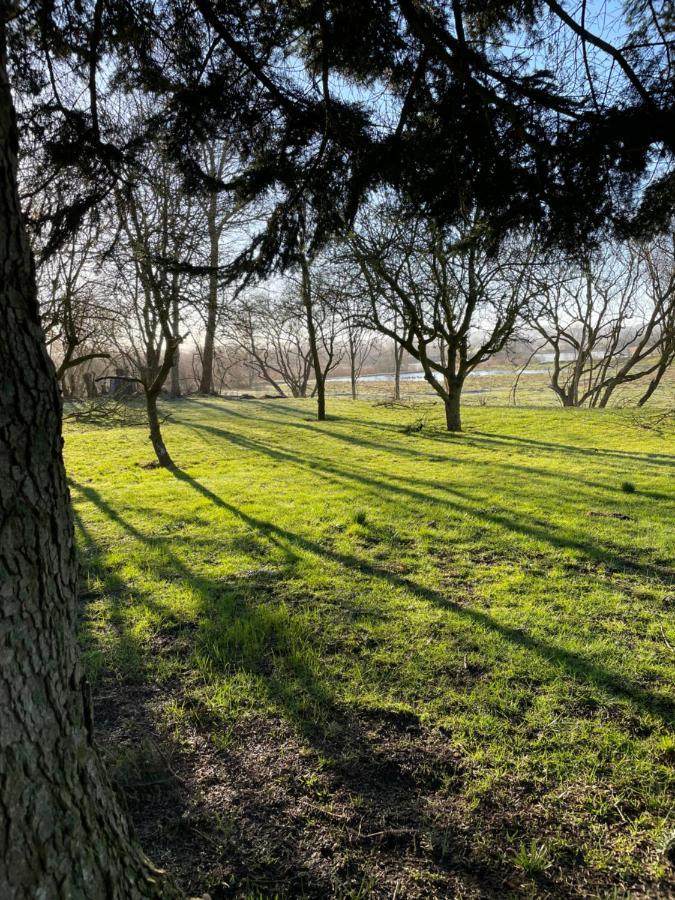Feriehus I Skon Natur Stenstrup Екстер'єр фото